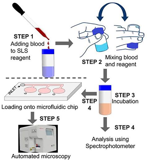 hemoglobin content is assessed in the laboratory by analyzing _____________|best method for hemoglobin determination.